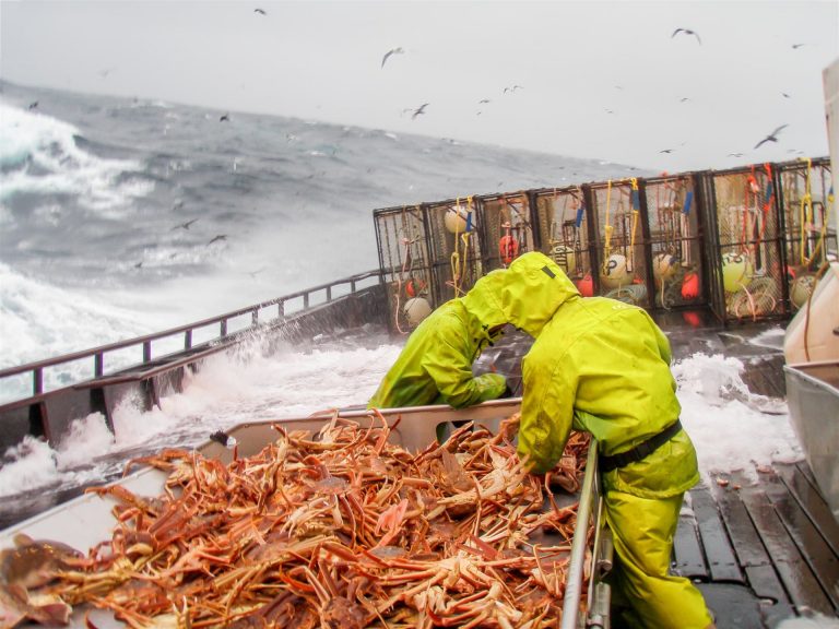 crewmen crab fishing in the bering sea