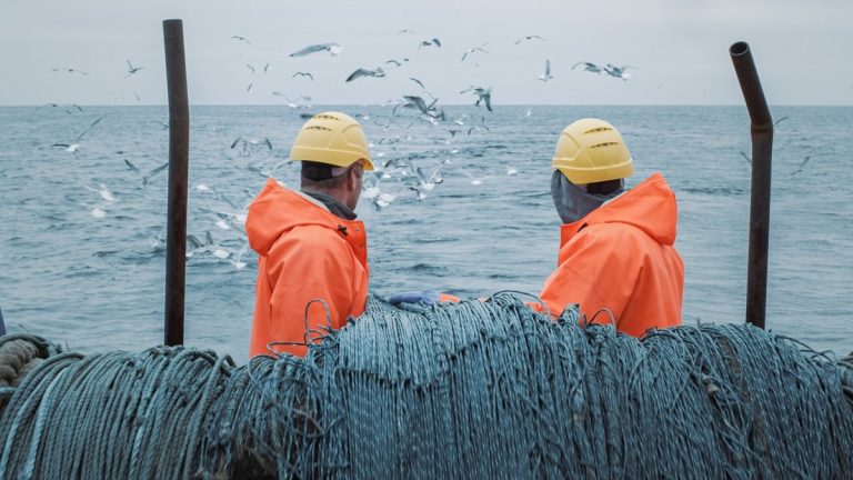 Crew of Fishermen Work on Commercial Fishing Ship that Pulls Trawl Net