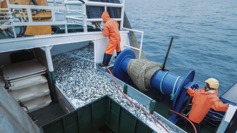 Commercial fisherman working on a boat