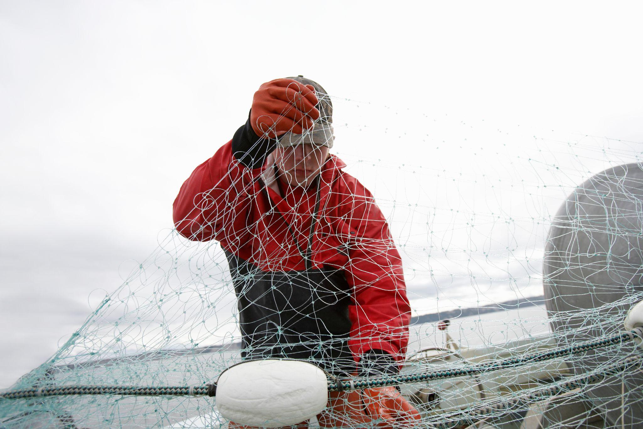 Fisherman untangling nets at sea