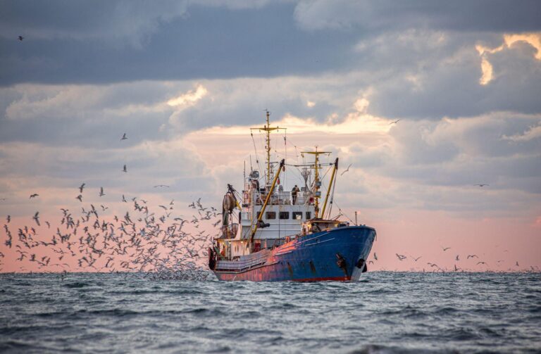 Seiner fishing boat at sea